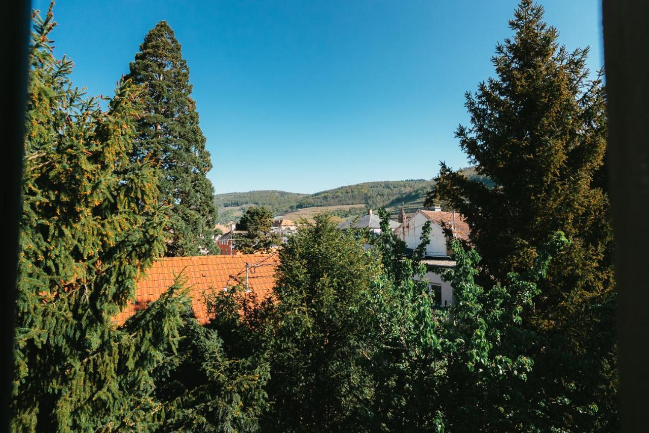 Appartamento Domaine Bohème I art de vivre Guebwiller Esterno foto