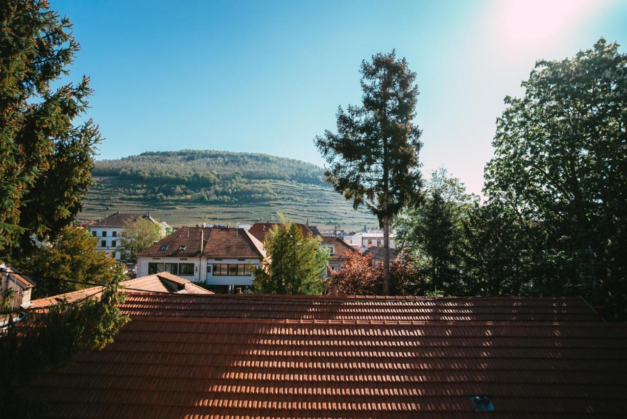 Appartamento Domaine Bohème I art de vivre Guebwiller Esterno foto