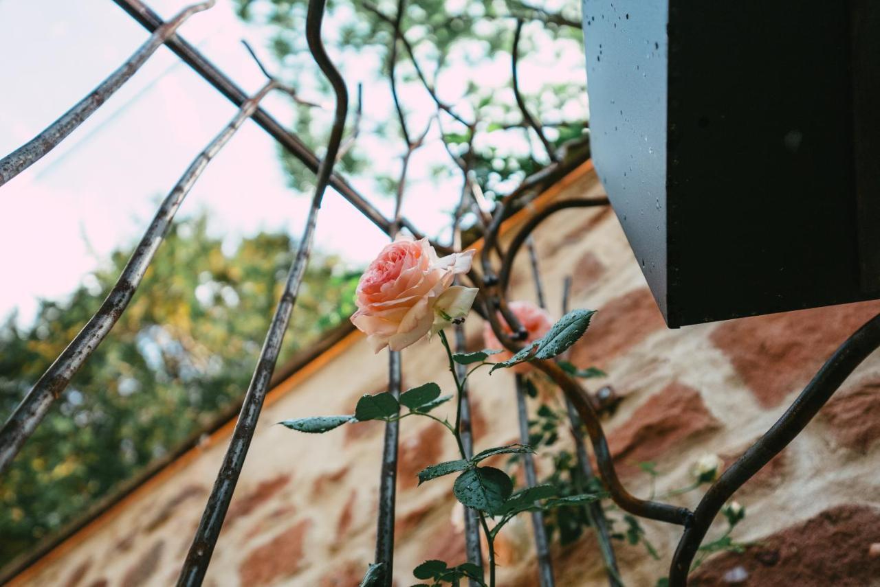Appartamento Domaine Bohème I art de vivre Guebwiller Esterno foto